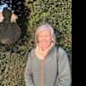 House sit pet parent - Bettina Spencer - rural retreat in the rolling suffolk countryside