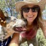 House sit pet parent - 2 wonderful dogs in the Land of Enchantment! Santa Fe, Eldorado New Mexico