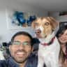 House sit pet parent - Affectionate beagle & downtown Brooklyn apartment need sitting!