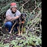 House sit pet parent - Beautiful home in Santa Cruz with a sweet cuddly and slightly anxious dog