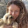 House sit pet parent - A family home and our  dogs are loved by us all, they are very funny little dogs