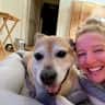 House sit pet parent - Cool, easy cats in a convenient and cozy mountain condo!
