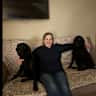House sit pet parent - Four wonderful Labradors! Never a dull  moment here………..