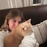 House sit pet parent - Cat Cuddler needed for Orange Tabby in Newport, RI.