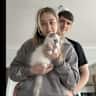 House sit pet parent - 3 week Stay in Sunny Plymouth with Willow the Ragdoll