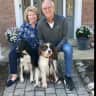 House sit pet parent - Loving spaniels who love play and attention