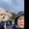 House sit pet parent - Quiet Home, Lovely Stay & One Very Loved/needy Chi Mix Looking for Company