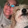 House sit pet parent - Happy house sitting in beautiful Plettenberg Bay.