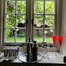 House sit pet parent - LOVELY SMALL PRIVATE COTTAGE, GORGEOUS HAPPY BILLIE the cockerpoo