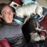 House sit pet parent - Travel home for Grandma's 90th birthday