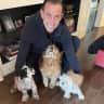 House sit pet parent - Approx 2 month summer house / pet sit in Montreal, near downtown (couple only)