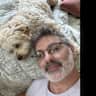House sit pet parent - Come stay in beautiful Rockland 
Great food 
An even better dog
Super sweet