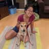 House sit pet parent - Gorgeous Central San Francisco Home and Cuddly Pup