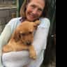 House sit pet parent - Happy labradors wanting to stay in their farm house home
