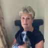 House sit pet parent - Enjoy the company and look after our animals and home in beautiful Wiltshire