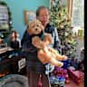House sit pet parent - Looking for house/pet sitter for our Cavapoo puppy Lilly