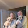 House sit pet parent - Waterfront home and 2 adorable little dogs.