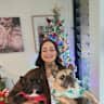 House sit pet parent - Beautiful apartment in Richmond with two lovely Frenchies and a turtle