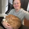 House sit pet parent - Look after our gorgeous ginger boy and stay in pretty Schiedam near Rotterdam