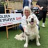 House sit pet parent - Golden cuddles