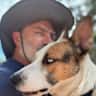 House sit pet parent - Route 66 Nob Hill chill home in walkable and quiet zone of Albuquerque, New Mexi