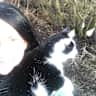 House sit pet parent - Clare Sanders - cat and chicken mum!