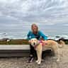 House sit pet parent - Sunny Santa Cruz Beach Home + Easy-Going Pet Care