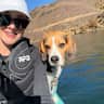 House sit pet parent - Relax with epic views, a warm & cosy house with a cute laidback beagle to match.