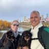 House sit pet parent - Beautiful Old Strathcona Home with Two Sweet, Easygoing Dogs