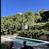 House sit pet parent - Family, living in beautiful house with garden looking for loving dog sitter