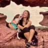 House sit pet parent - Seeking dog-sitter for sweet pit bull in magical Manitou Springs!
