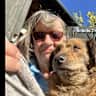 House sit pet parent - Happy family of dogs in Kent village wish to host a stay