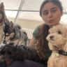 House sit pet parent - Cozy apartment with a million dollar view and 2 sweet pups!