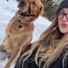 House sit pet parent - Quaint house with modern features in rural setting & gorgeous well-behaved dog