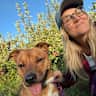 House sit pet parent - Sweet, Easy Pup + Scenic Walks by the Charles River