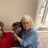 House sit pet parent - Comfortable house in Jersey close to lovely walks and beaches