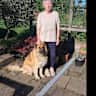 House sit pet parent - Smallholding In a quiet countryside location close to the Malvern hills