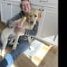 House sit pet parent - Dog sitter wanted to spend time with our fun-loving, happy Labrador!