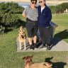 House sit pet parent - House/Dog sitters in spacious beachside home in Sydney