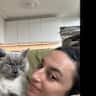 House sit pet parent - Cat sitter needed in bright & modern 2 bedroom North London apartment