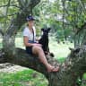 House sit pet parent - Pretty rural cottage in West Norfolk with two loving dogs, 25 mins from the coas