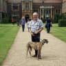 House sit pet parent - Home in Ross on Wye