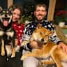 House sit pet parent - 2 Shiba inus and a cat walk into your hearts