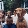 House sit pet parent - 4 furry babies looking for a forever housesitter in sunny south west of France