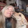 House sit pet parent - 2 Delightful Dogs 20 minutes North of Santa Fe 6-8 wks start 11/1