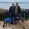 House sit pet parent - Modern home with large garden in vibrant country town with two friendly doggies