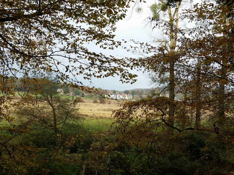Housesitting assignment in Maastricht, Netherlands