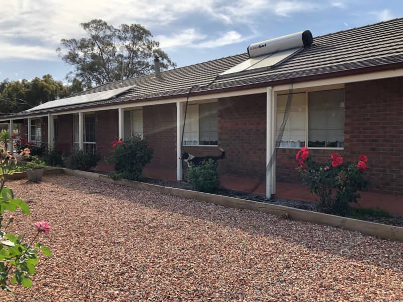 Housesitting assignment in Bendigo, Victoria, Australia
