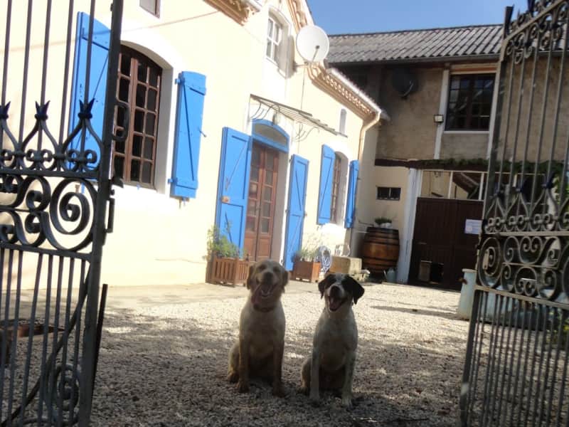 Housesitting assignment in Viella, France