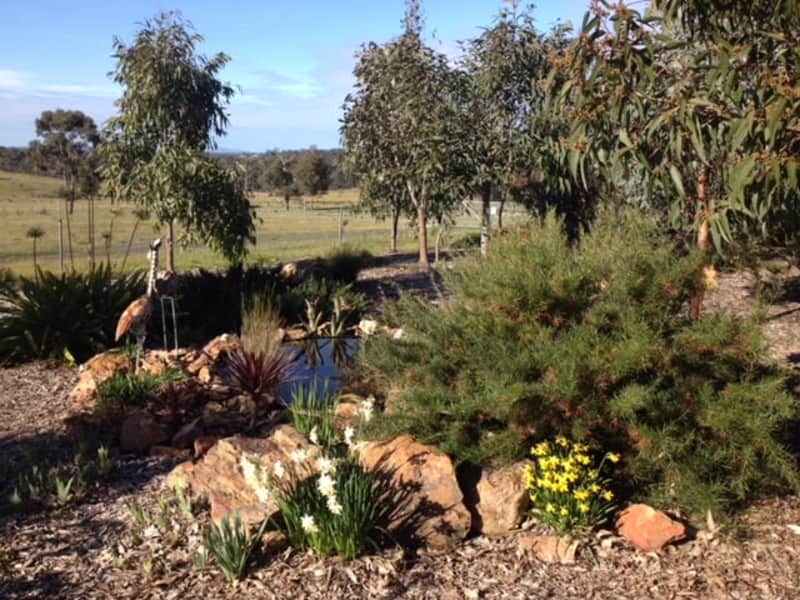 Housesitting assignment in Eppalock, Victoria, Australia